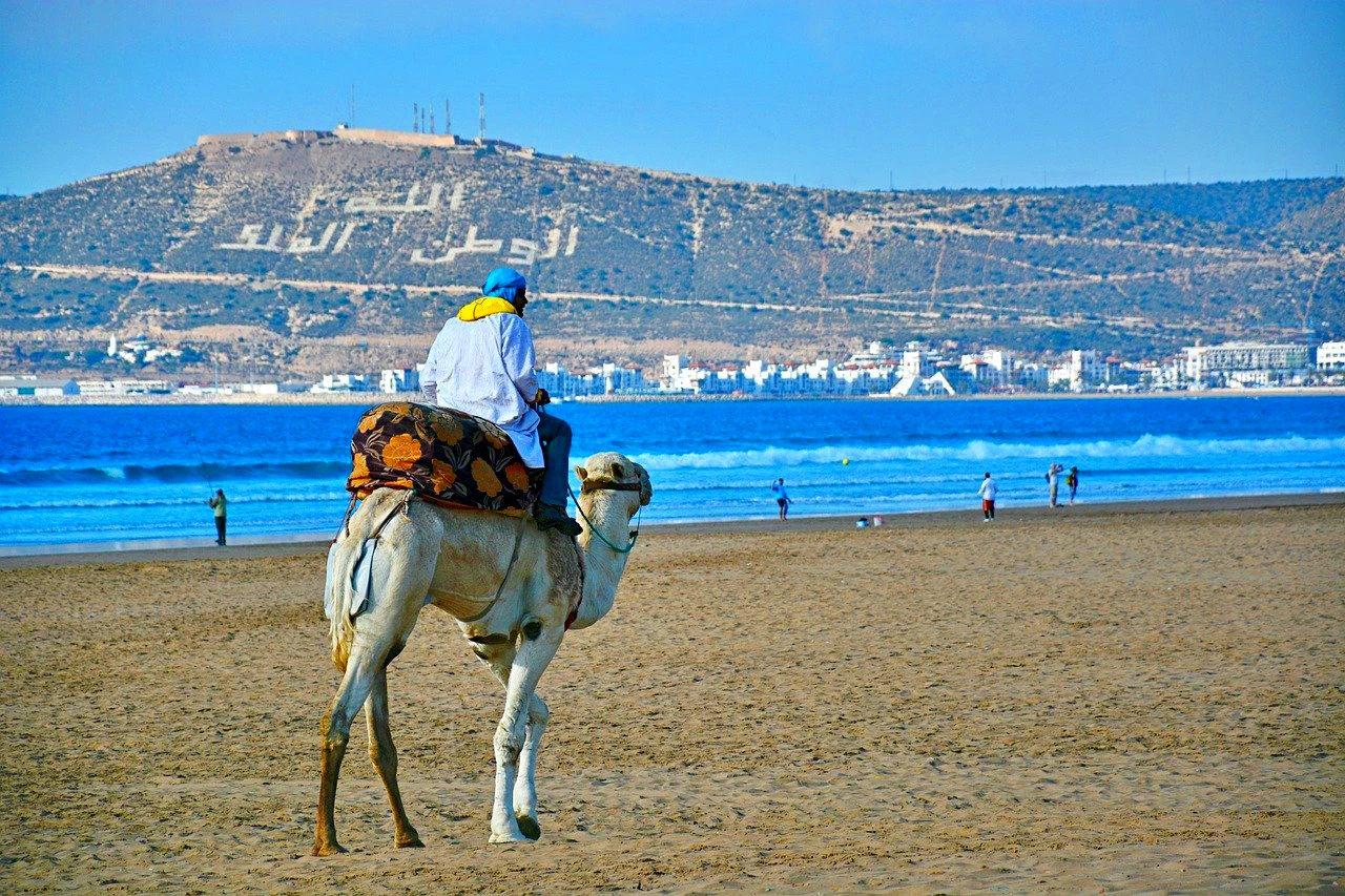 Mann reitet auf einem Kamel am Strand von Agadir, Marokko